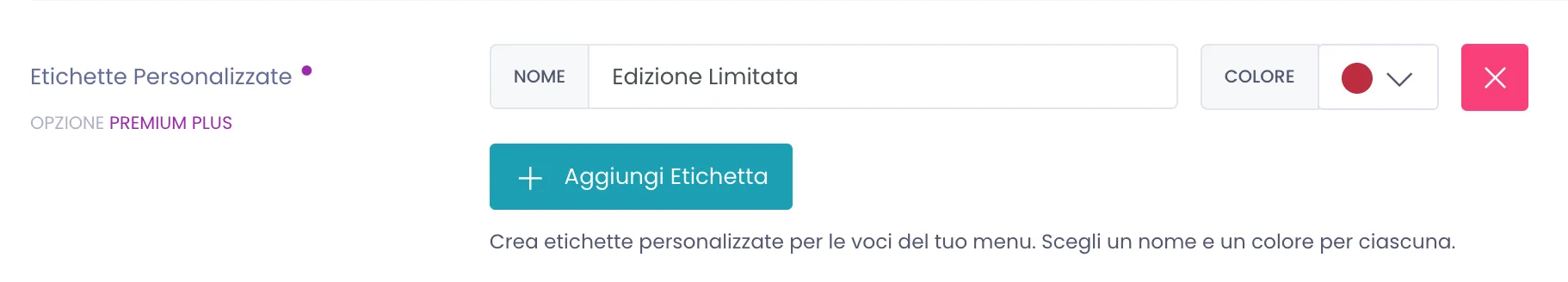 Area Etichette Personalizzate con una riga compilata: il campo Nome con Edizione Limitata e il selettore Colore