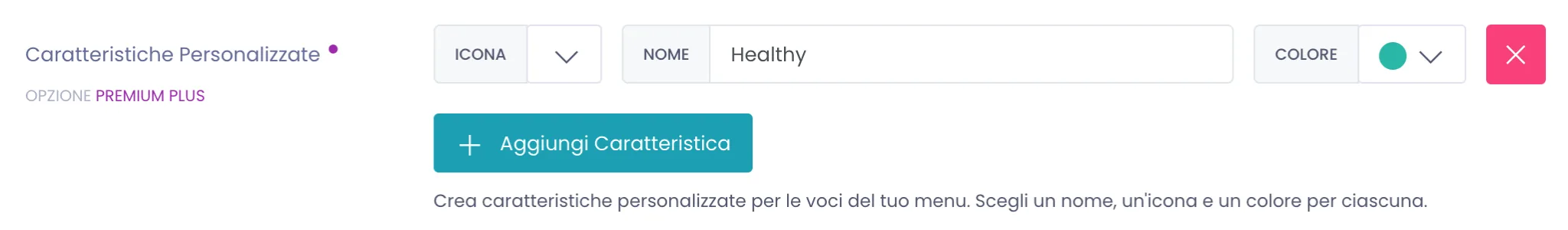 Area Caratteristiche Personalizzate con una riga compilata: i campi Icona, Nome con Healthy e il selettore Colore