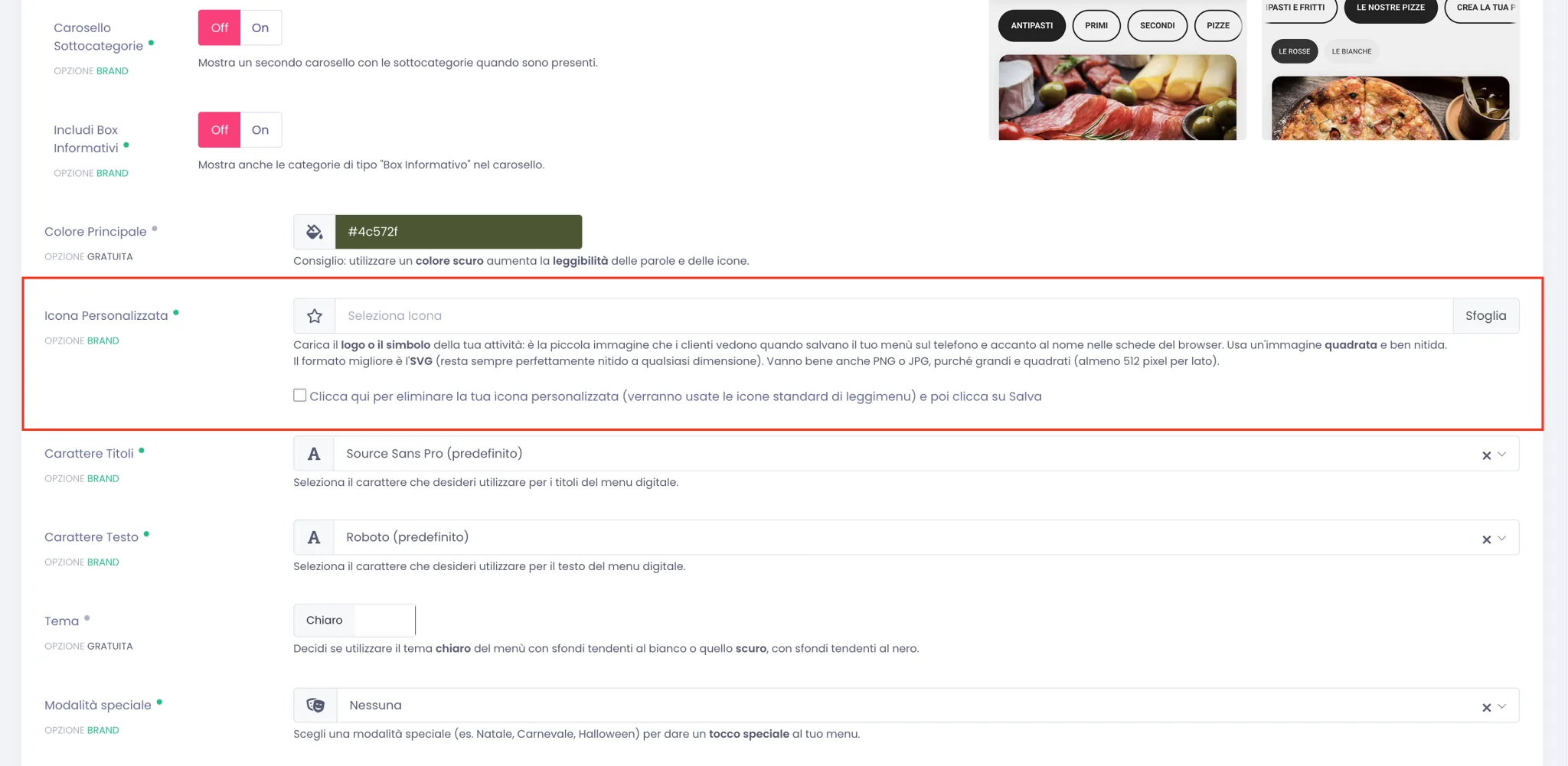Campo Icona Personalizzata nella tab Design con il bottone Sfoglia e la casella per eliminare l'icona, prima del caricamento